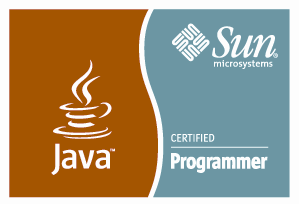 Sun Certified Java Programmer